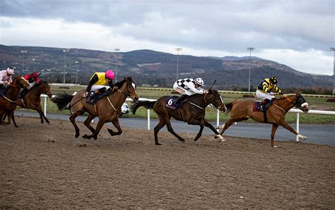 dundalk horse racing results today|16:38 Dundalk .